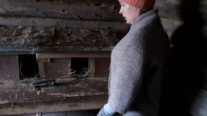 Куры клюют яйца?? Решение есть! Куриные гнезда. #куры #гнезда #дома