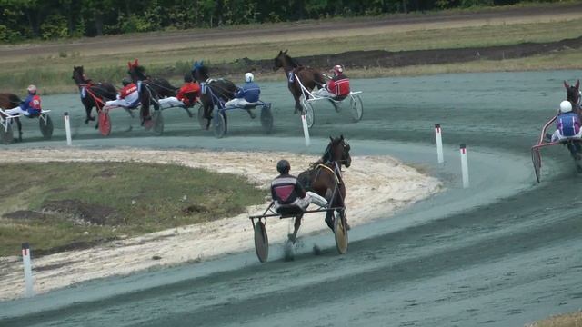 26.08.2023 г. 1-й заезд Приз Большой Поволжский смотреть онлайн