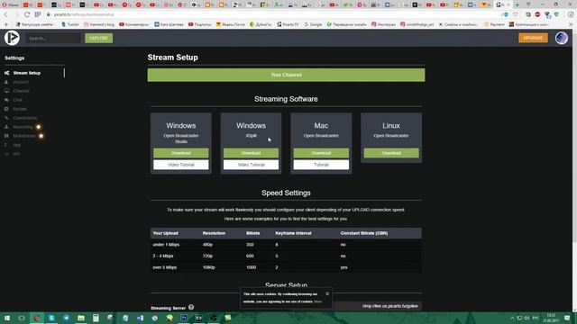 Настройки совместного стрима на Picarto смотреть онлайн
