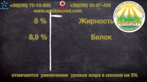 Как правильно заготовить силос? С помощью консерванта для сенажа и силоса «Биоконт»