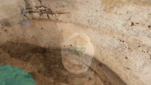 Гнездо для кур из старой бочки своими руками быстро и очень дешево! ????Сделай сам!!!