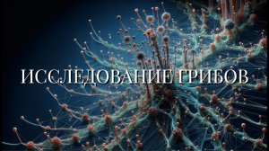 Исследование грибов