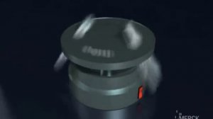 инсеминация