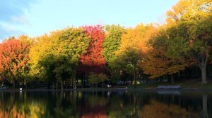 Музыка осени / вдохновляющая музыка / Autumn