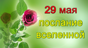 ПОСЛАНИЕ ВСЕЛЕННОЙ на 29 мая.