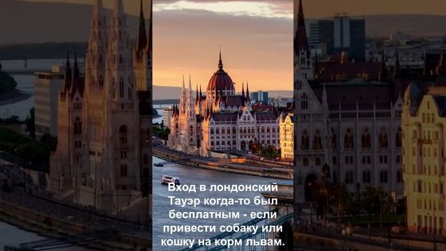 Вход в лондонский Тауэр когда то был бесплатным если привести собаку или кошку на корм львам