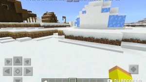 Сид на деревню,иглу и снежный биом