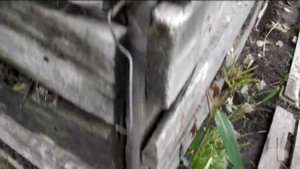 компостная куча из поддонов