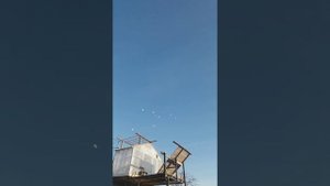 Казанские панцирные голуби