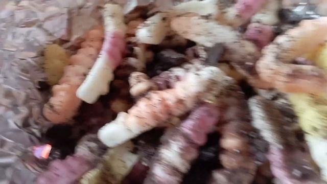 Празднуем HALLOWEEN???/ Влог- Vlog/ 31 октября/ Fashion star vlogs ?? смотреть онлайн