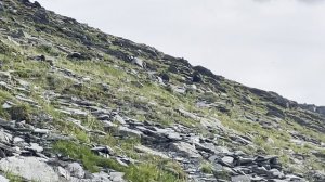 Мишка, мишка, где твоя улыбка..?