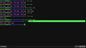 BASH Search Patterns Linux Shell Tutorial