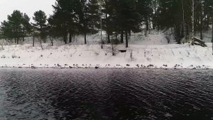 Что может новый стандартный Jeep Wrangler JL. Школа вождения.