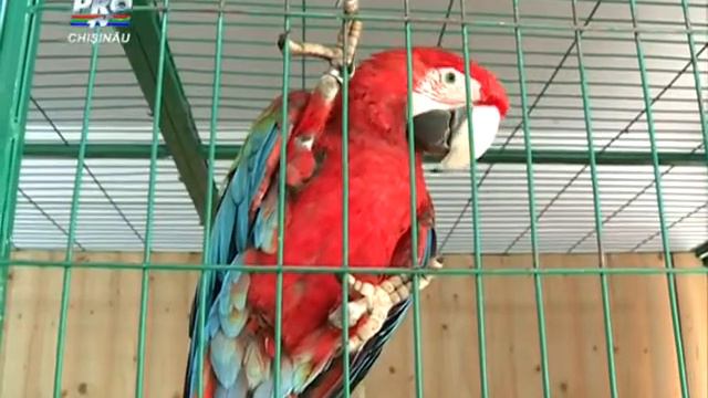 подарок от SANIN.avi смотреть онлайн