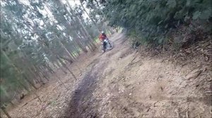 Suzuki Ts 50