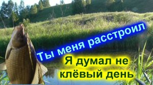 Рыбалка на карася в начале июля