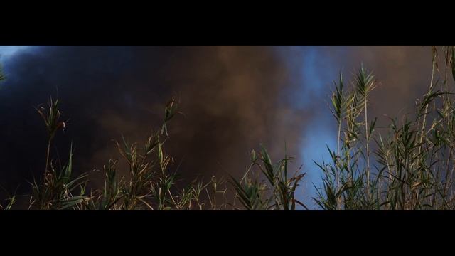 Olympus OM-D E-M10 Mark III (Cinematic Test 4K) смотреть онлайн