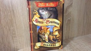МОЯ КОЛЛЕКЦИЯ КНИГ КОТЫ-ВОИТЕЛИ