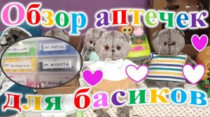 Обзор аптечек для басиков.