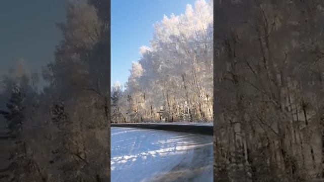 зимнее утро ,первое дыхание зимы