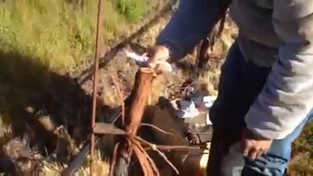 T-Budding смотреть онлайн