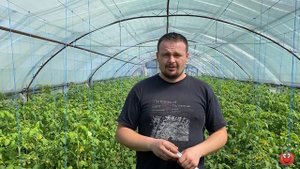 Пасмурно! КАК кормить в пасмурную погоду!