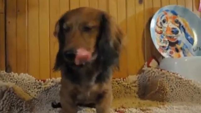 ИС КЛАССИКА, 4 месяца РКФ смотреть онлайн