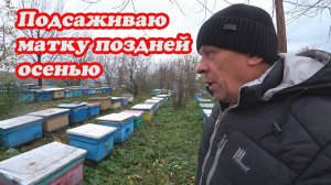БЕЗМАТОЧНАЯ ПЧЕЛОСЕМЬЯ ПОЗДНЕЙ ОСЕНЬЮ, ХРАНЕНИЕ РАМОК, ОТВЕТЫ НА КОММЕНТАРИИ.