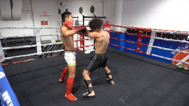 How to Box like Max "Blessed" Holloway