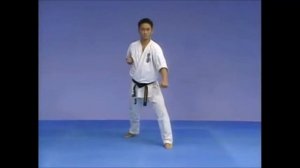Кёкусинкай Карате/ Ката- Тайкёку соно ни/Kyokushin Karate/Kata - Taikyoku Sono ni