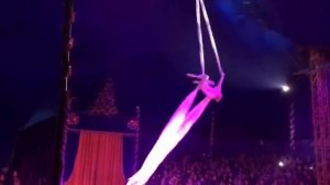 Санкт-Петербургский цирк 《Торнадо》 в Нальчике！