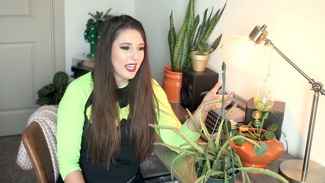 Hurricane Cactus (Lepismium Cruciforme) Care Guide For Beginners смотреть онлайн