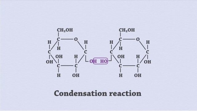 Спектр углеводов — от цельного зерна до белого хлеба смотреть онлайн