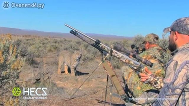 Рысь против охотника смотреть онлайн