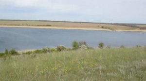 На пруду Терновый Яр близ Новочеркасска