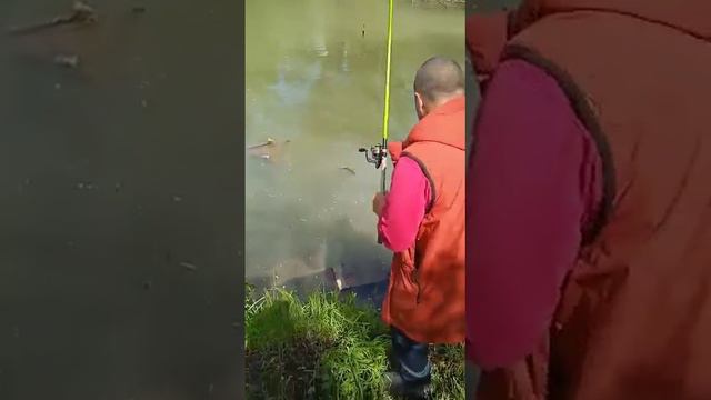 одна поклёвка за 2 часа. смотреть онлайн