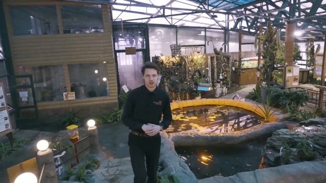 ? Орхидея Ванда - ИСТОРИЯ ПРЕКРАСНОГО смотреть онлайн