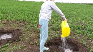 Шевелятся растения, что делать? VLOG 02.06.22