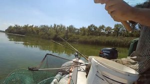 Ловля белой рыбы с лодки на течение  река #днепр  #МексиканецТВ