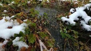 Семинский перевал - вода в роднике течет наоборот. Для любителей фокусов ;-)