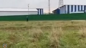 Почему собака без намордника? Иди спроси где её маска.