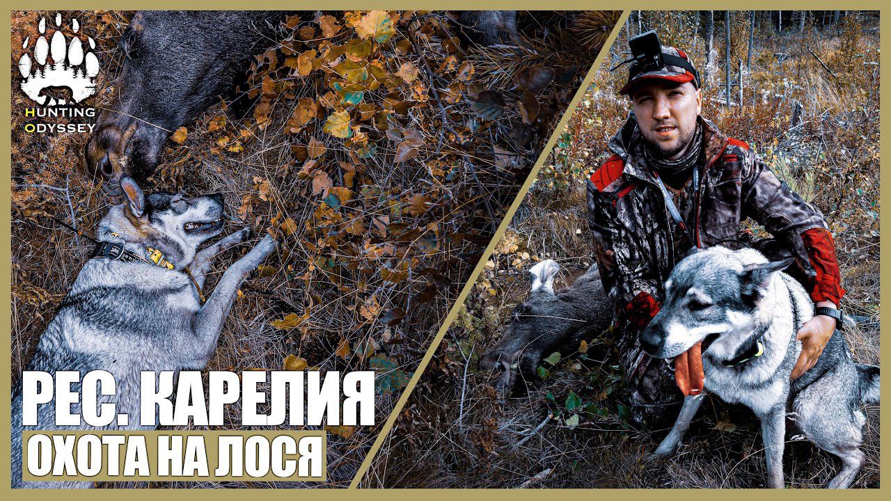 СУПЕР ВЫСТРЕЛ НА 350 МЕТРОВ, ВЗЯЛИ БЫЧКА