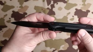 Лучший Складной Нож На Каждый День Ganzo Firebird FH922