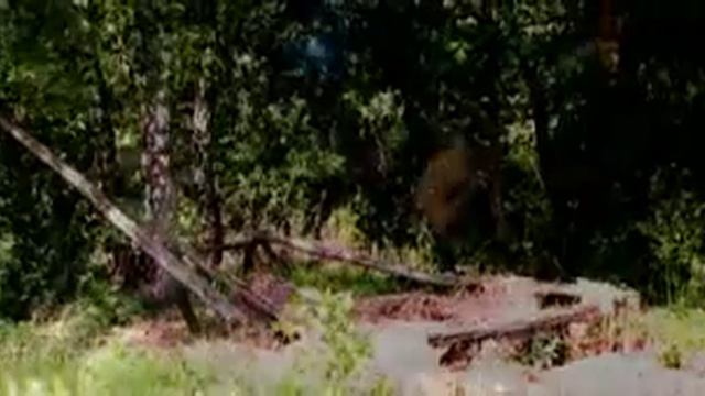 КАЛИНОВ МОСТ скоро смотреть онлайн