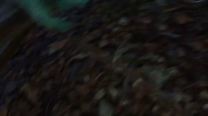 Самодельная удочка из берёзы.самодельная поплавочная удочка