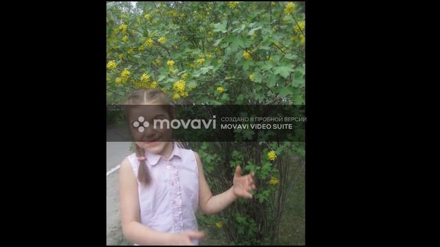 Месяц май 2020, Тюмень смотреть онлайн