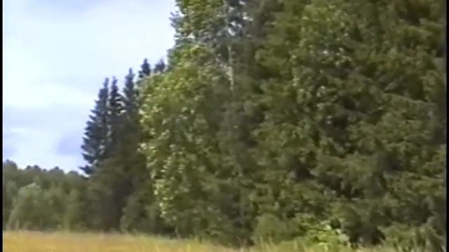 Горелец