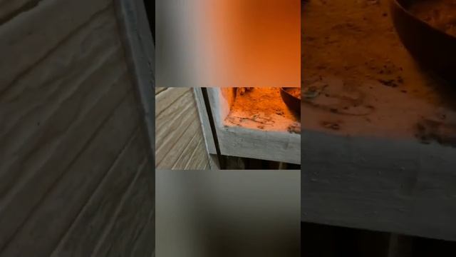 Х1ОАДОТТУРГАШ. НОХЧИЙН ДААРШ смотреть онлайн