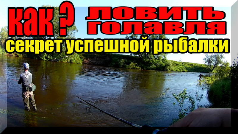 Как успешно ловить ГОЛАВЛЯ на запрессованном перекате. Голавль на спиннинг. Рыбалка с утреца .