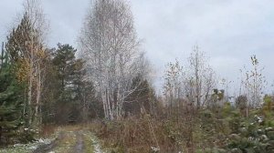 Енисейский р-он, с.Озерное (заброшенные дачи) 10.10. 2020 г.
